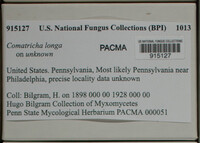 Image Associated With the Occurence